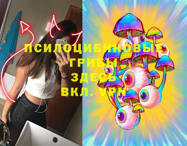 мяу мяу кристалл Костерёво