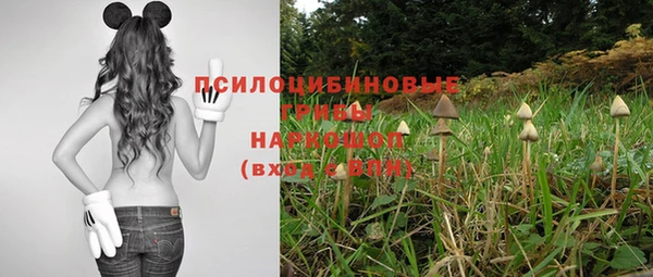 MDMA Premium VHQ Коряжма