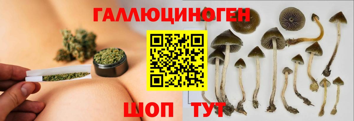 Псилоцибиновые грибы Magic Shrooms  Галлюциногенные грибы Magic Shrooms  Вход с VPN  Чебаркуль 